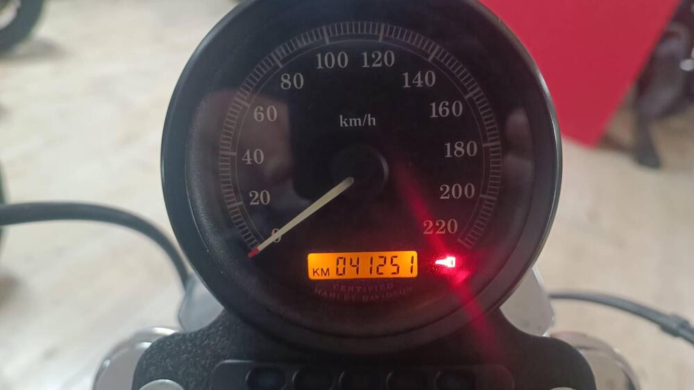 Harley-Davidson 883 Standard (2001 - 05) - XL 883 (5)