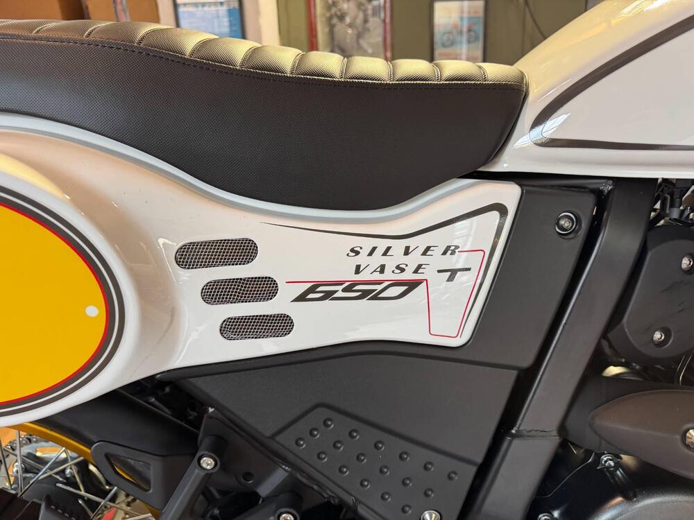 Swm Silver Vase 650 T (2025 - 26) (5)