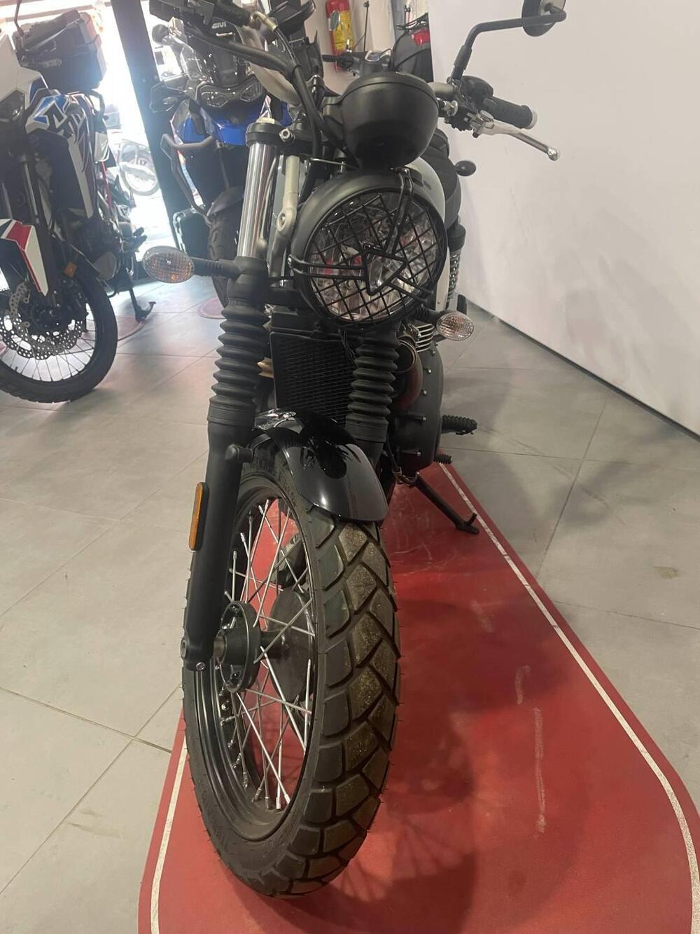 Triumph Street Scrambler 900 (2021 - 22) (6)