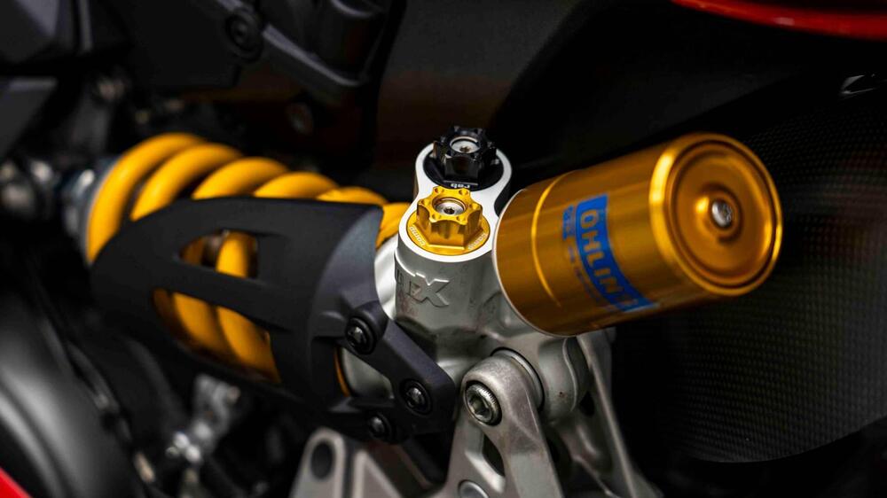 Ducati 1199 Panigale R ABS (2013 - 17) (12)