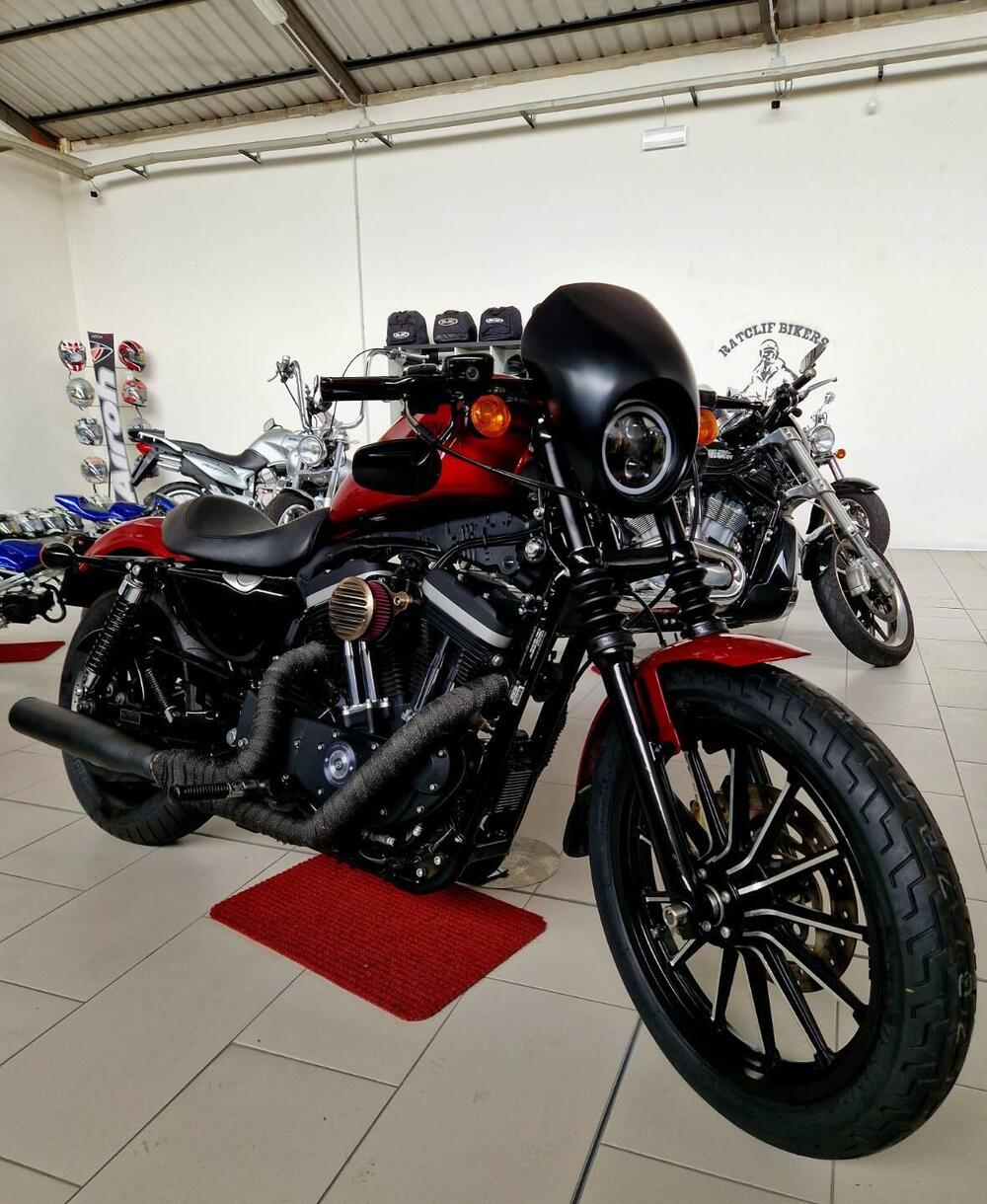 Harley-Davidson 883 Iron (2012 - 14) - XL 883N (3)