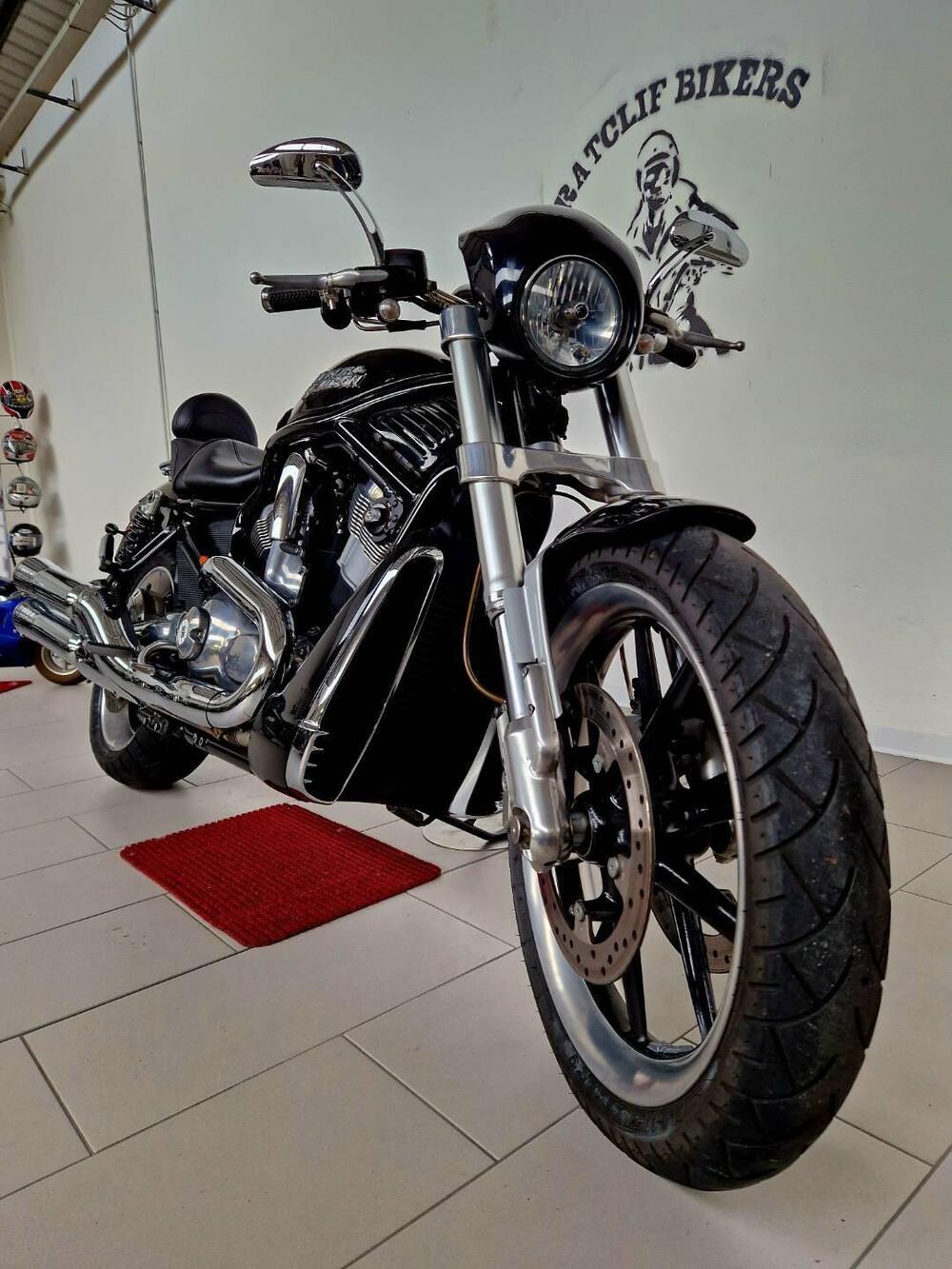 Harley-Davidson 1250 Street Rod (2005 - 06) - VRSCR (2)