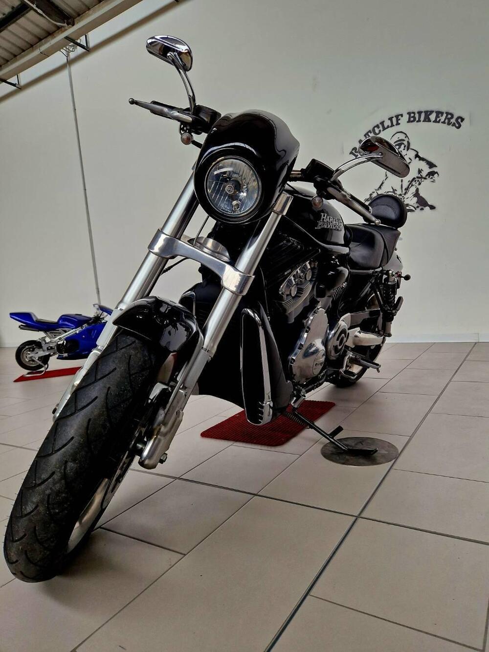 Harley-Davidson 1250 Street Rod (2005 - 06) - VRSCR (3)