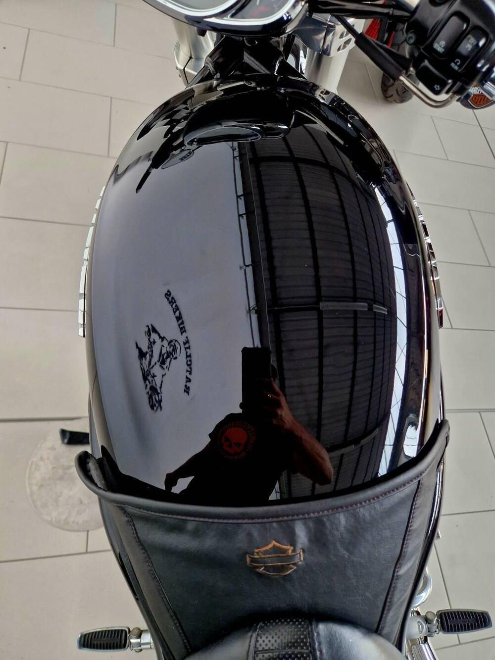 Harley-Davidson 1250 Street Rod (2005 - 06) - VRSCR (12)