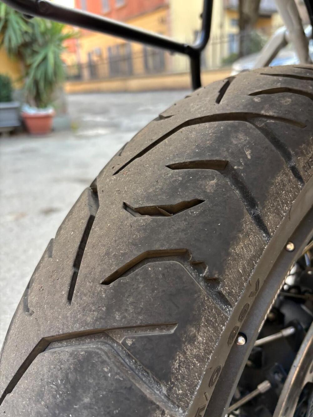 Triumph Tiger 900 Rally (2020 - 23) (5)