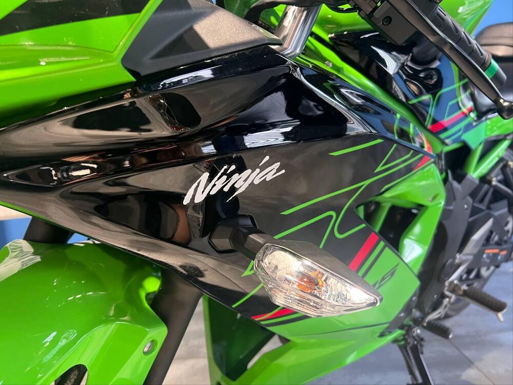 Kawasaki Ninja 125 (2021 - 24) (6)