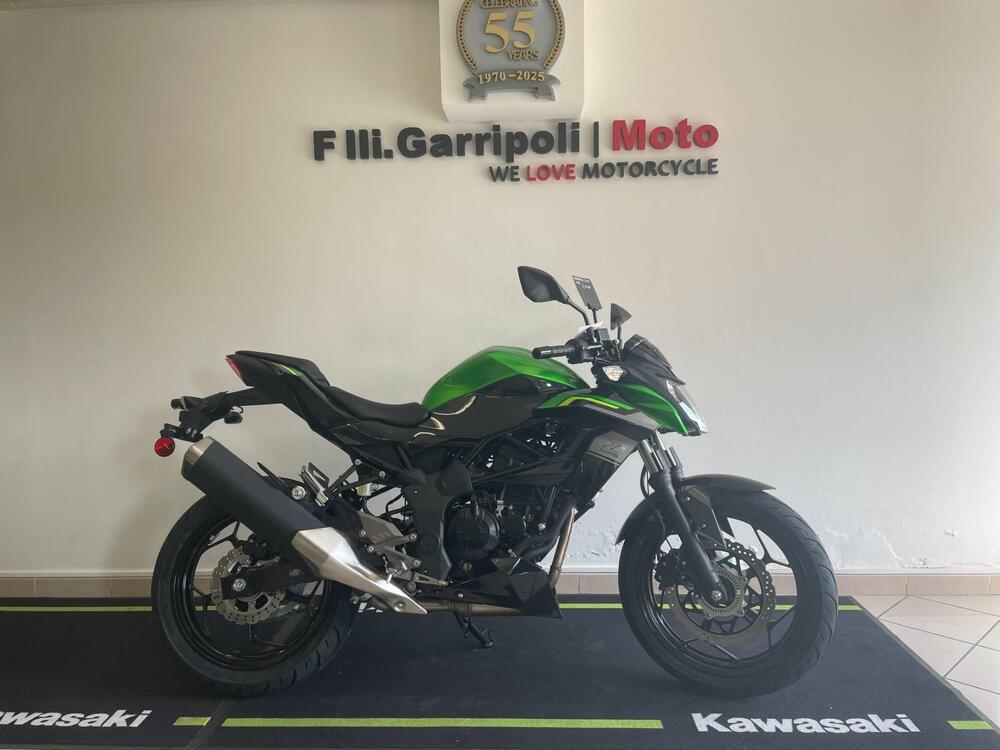 Kawasaki Z 125 (2025 - 26) (2)