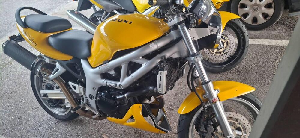 Suzuki SV 650 (1999 - 02) (3)