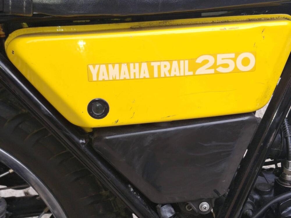 Yamaha DT250 (17)