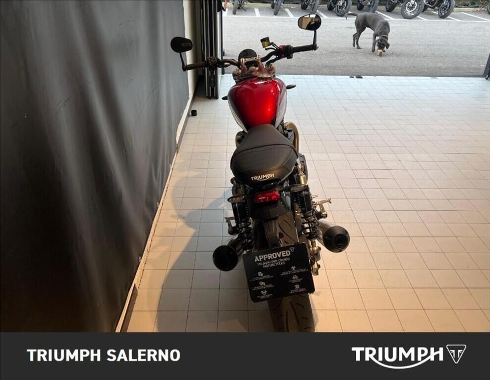 Triumph Speed Twin 1200 (2025 - 26) (5)