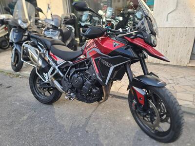Triumph Tiger 900 GT (2024 - 26) usata