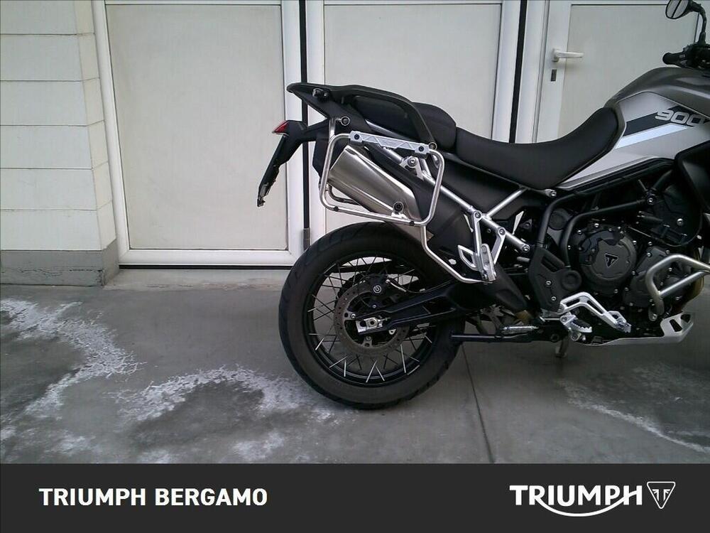Triumph Tiger 900 Rally Pro (2020 - 23) (6)
