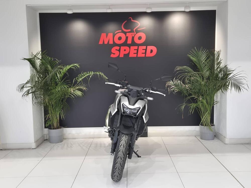 Honda CB 750 Hornet (2025) (3)