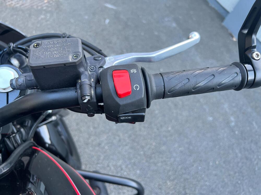 Moto Guzzi V7 Stone Special Edition (2022 - 25) (15)