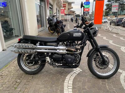 Triumph Scrambler (2006 - 17) usata