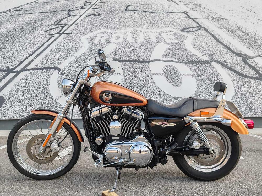 Harley-Davidson 1200 Custom (2007 - 13) - XL 1200C (2)