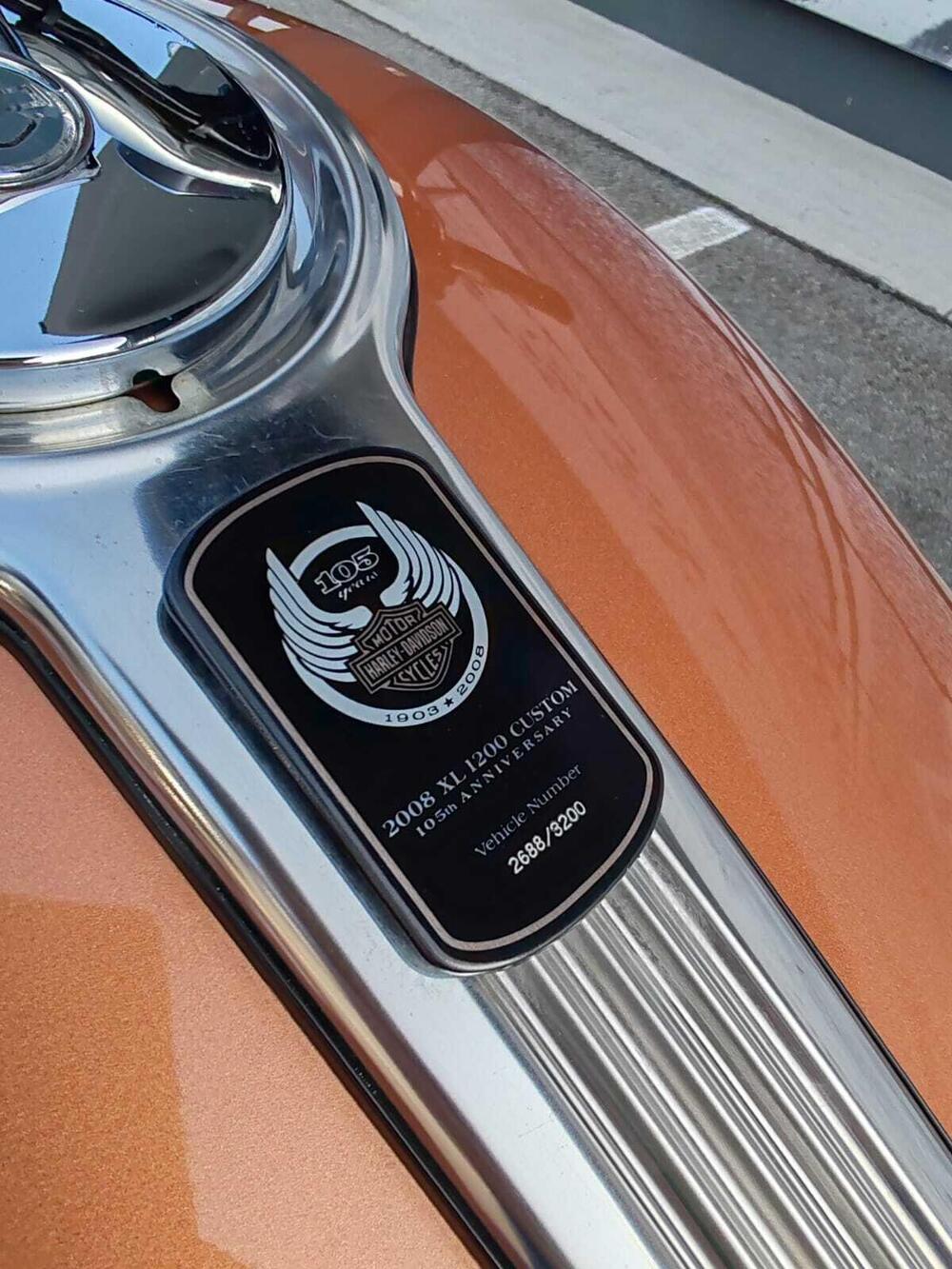 Harley-Davidson 1200 Custom (2007 - 13) - XL 1200C (5)