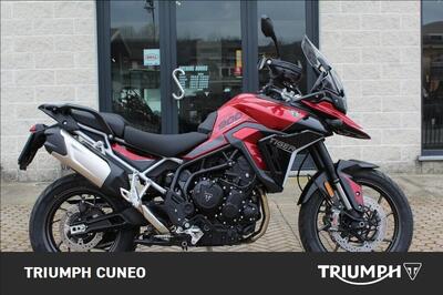 Triumph Tiger 900 GT Pro (2024 - 26) usata