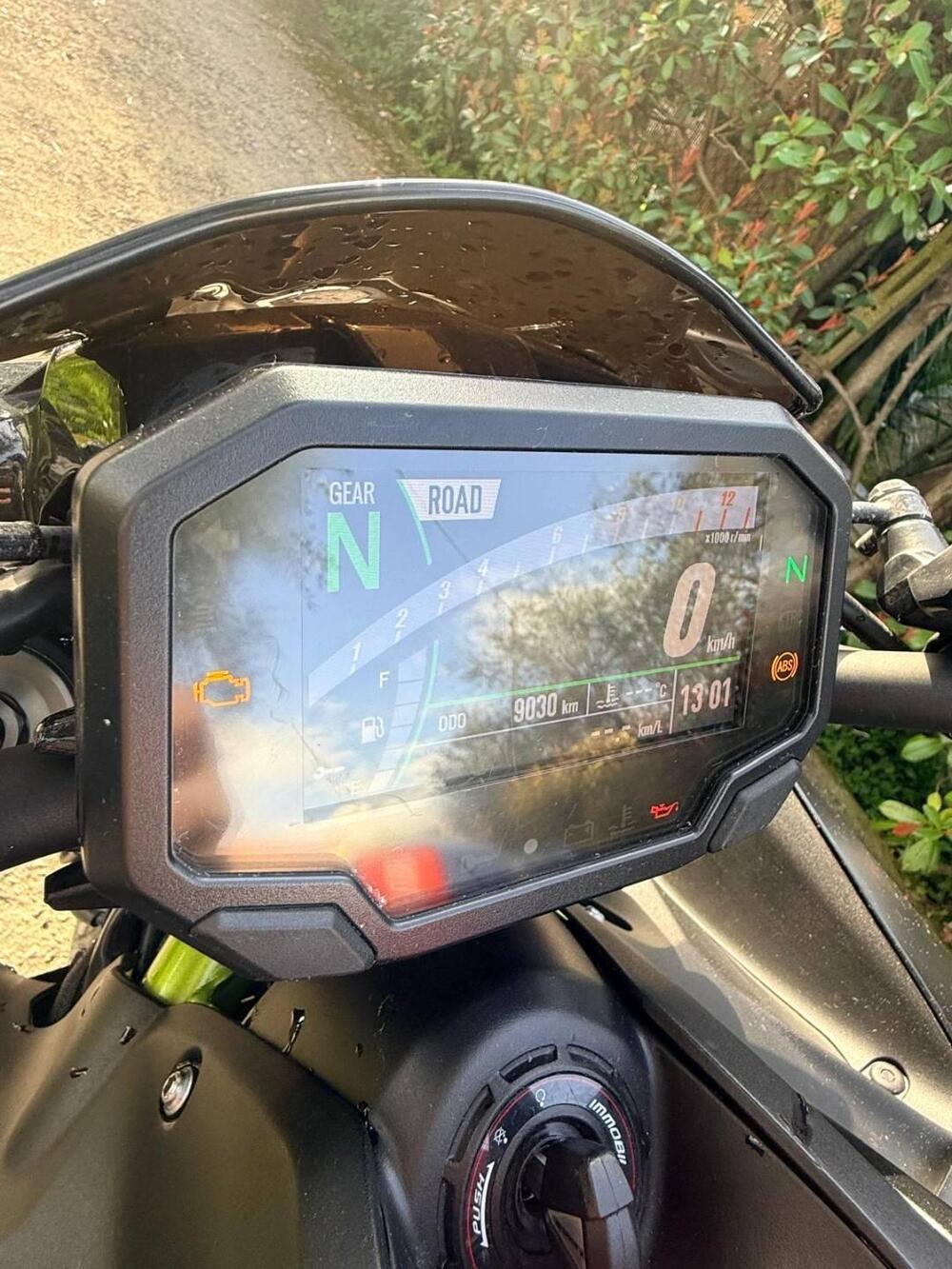 Kawasaki Z 900 (2021 - 24) (6)