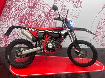 Betamotor RR 125 4T Enduro LC (2021 - 23) usata