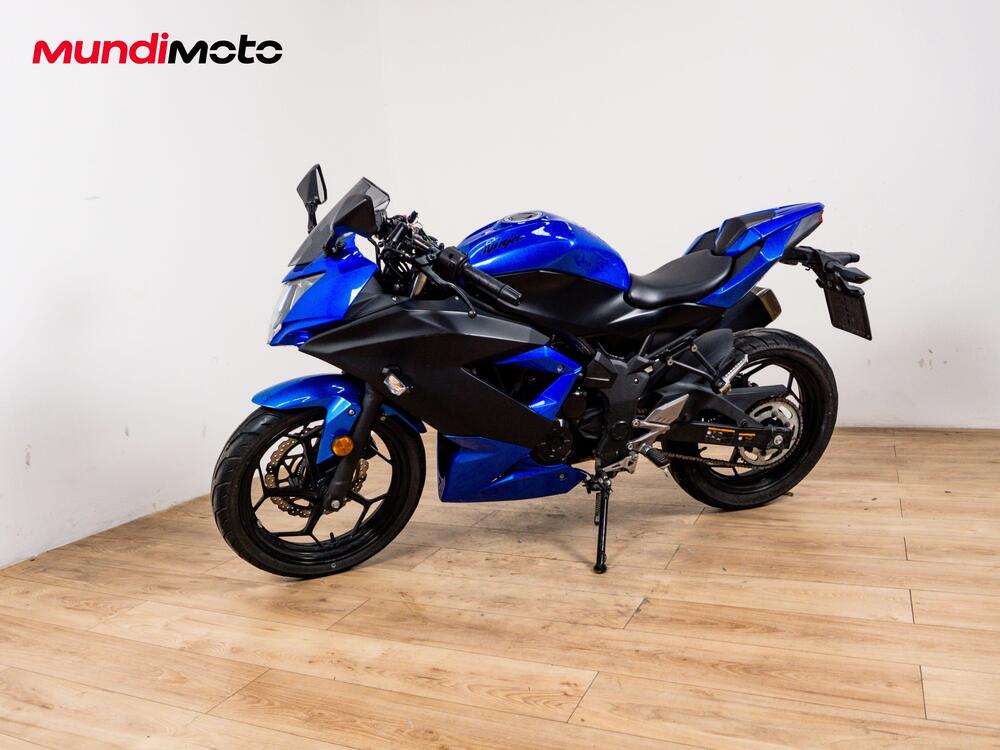 Kawasaki Ninja 300 ABS (2012 - 16) (8)