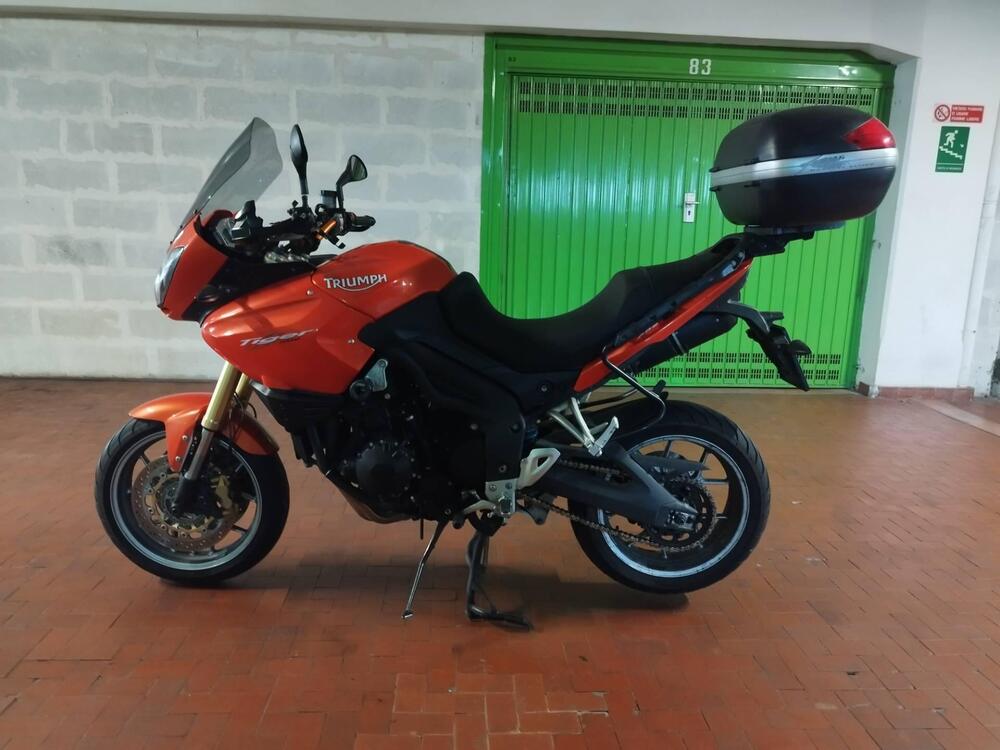 Triumph Tiger 1050 ABS (2006 - 12) (2)
