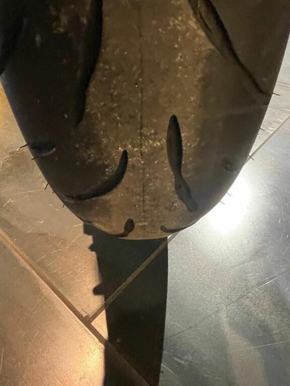 Ducati Multistrada 1200 S (2015 - 17) (6)