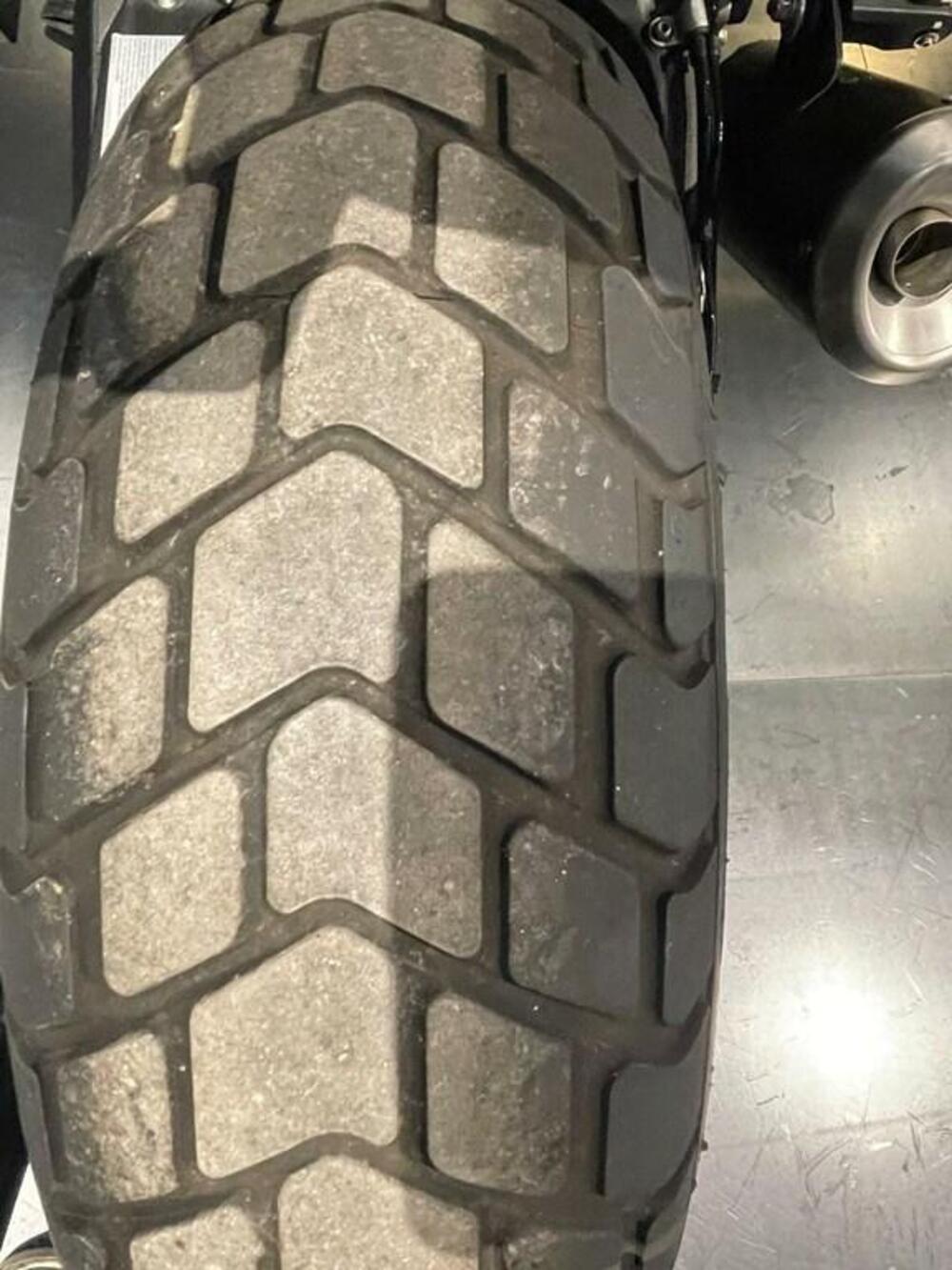 Ducati Scrambler 800 Nightshift (2023 - 24) (4)