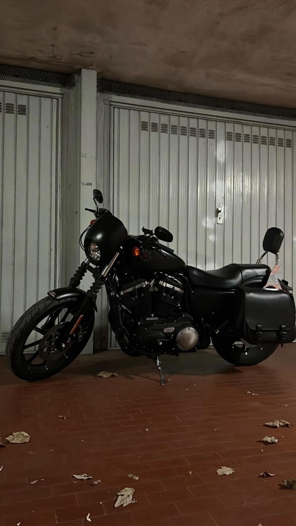 Harley-Davidson 883 Iron (2017 - 20) - XL 883N (11)