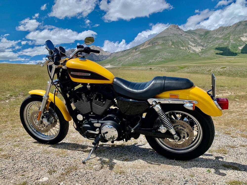 Harley-Davidson 1200 Roadster (2002 - 05) - XL 1200R (3)