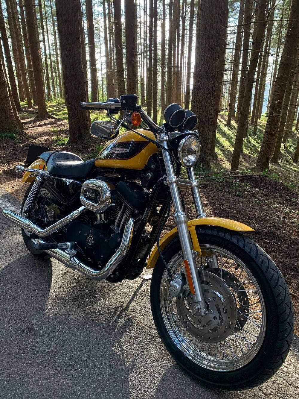 Harley-Davidson 1200 Roadster (2002 - 05) - XL 1200R (6)