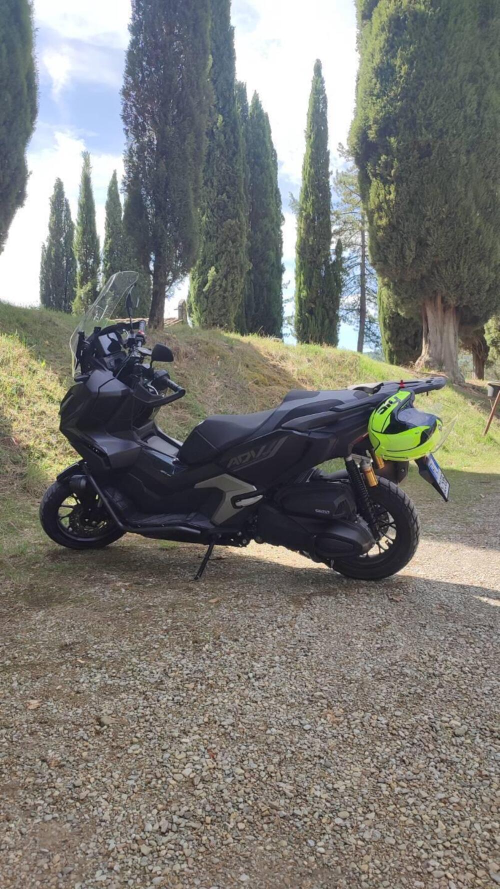 Honda ADV 350 Special Edition (2025 - 26) (2)