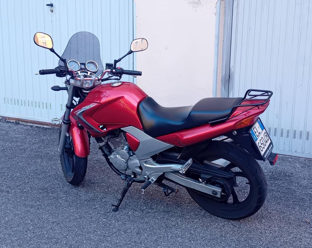Yamaha YBR 250 (2006 - 13) (2)