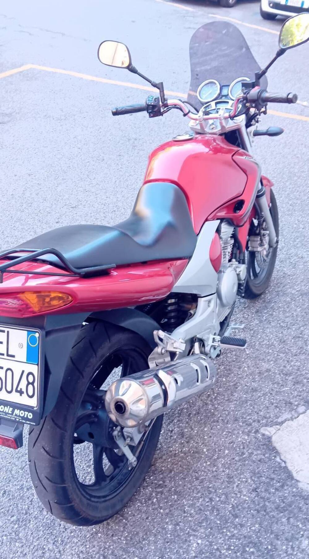 Yamaha YBR 250 (2006 - 13) (3)