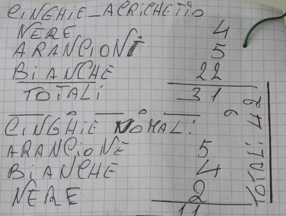 Cinghie con e senza cricchetto per fissaggio moto (2)