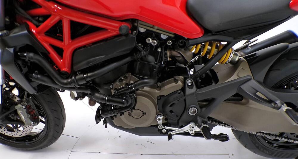 Ducati Monster 821 ABS (2014 - 17) (7)
