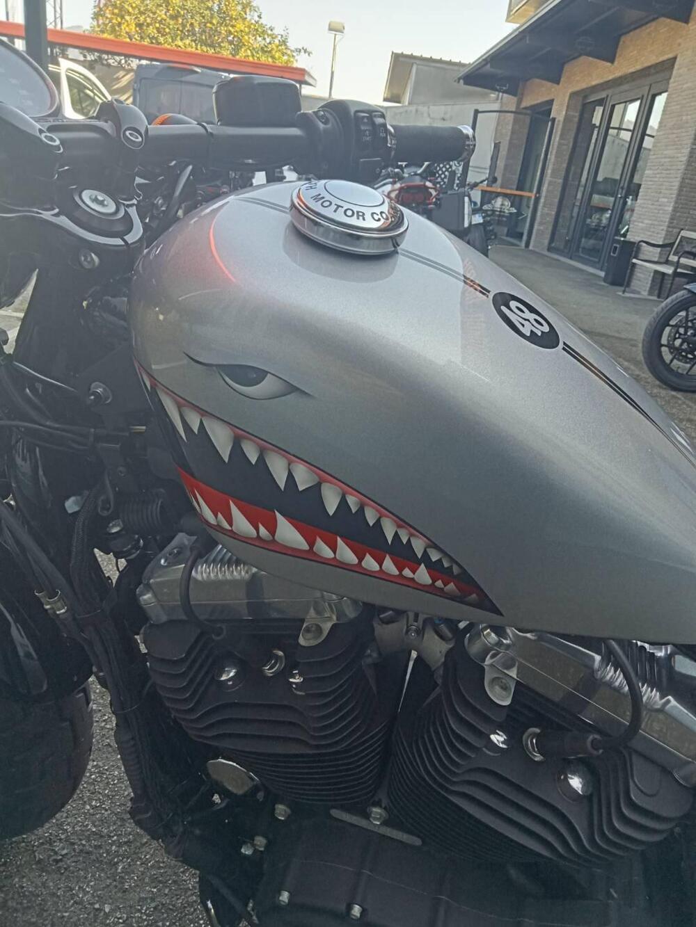 Harley-Davidson 1200 Forty-Eight (2010 - 15) (3)