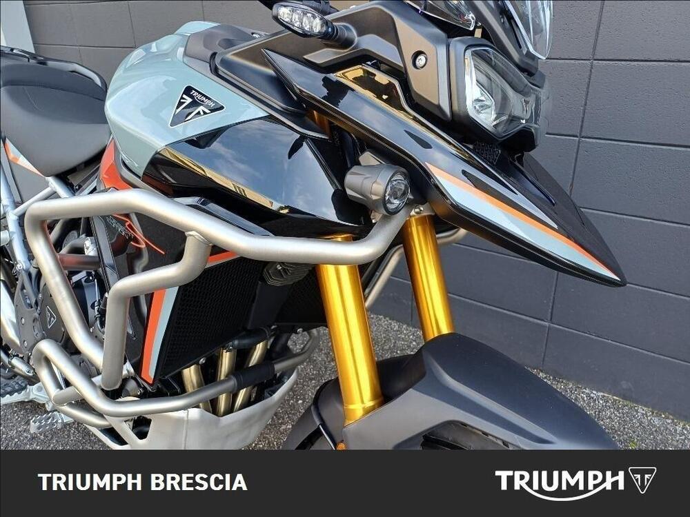 Triumph Tiger 900 Desert Special Edition (2026) (7)