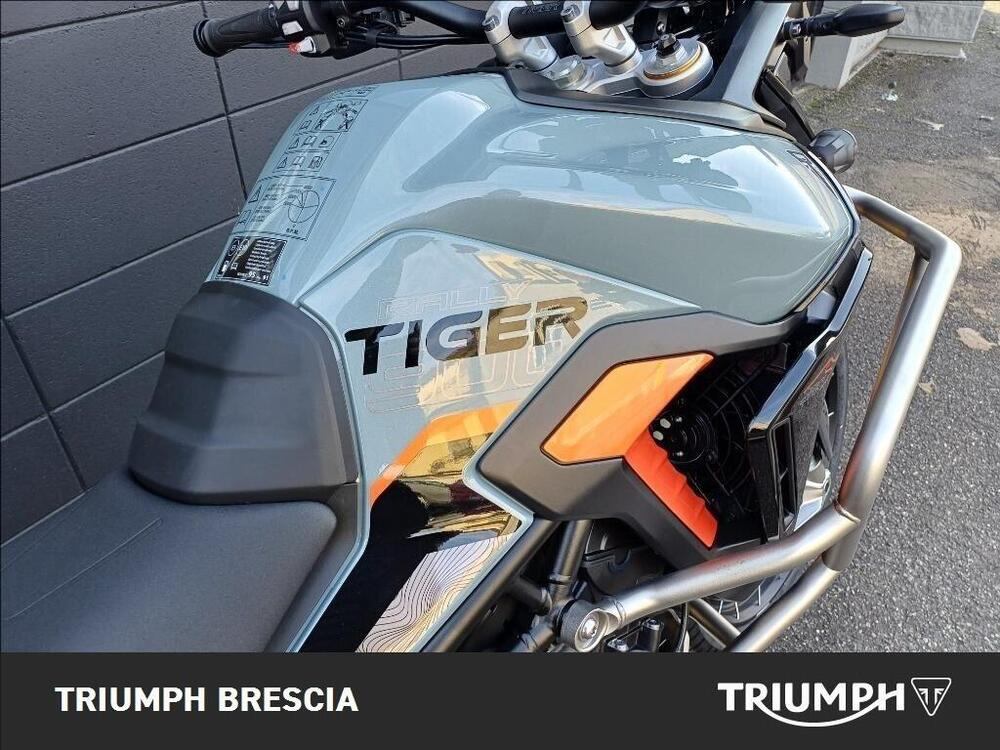 Triumph Tiger 900 Desert Special Edition (2026) (8)