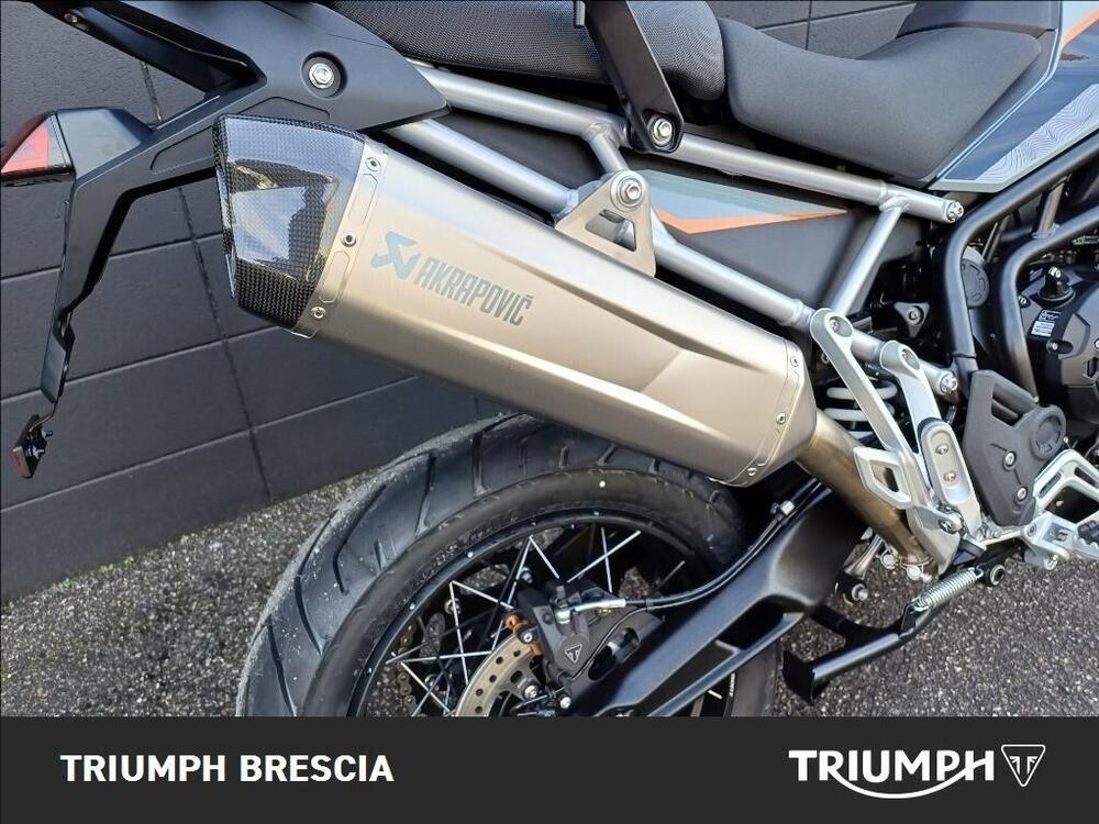 Triumph Tiger 900 Desert Special Edition (2026) (4)