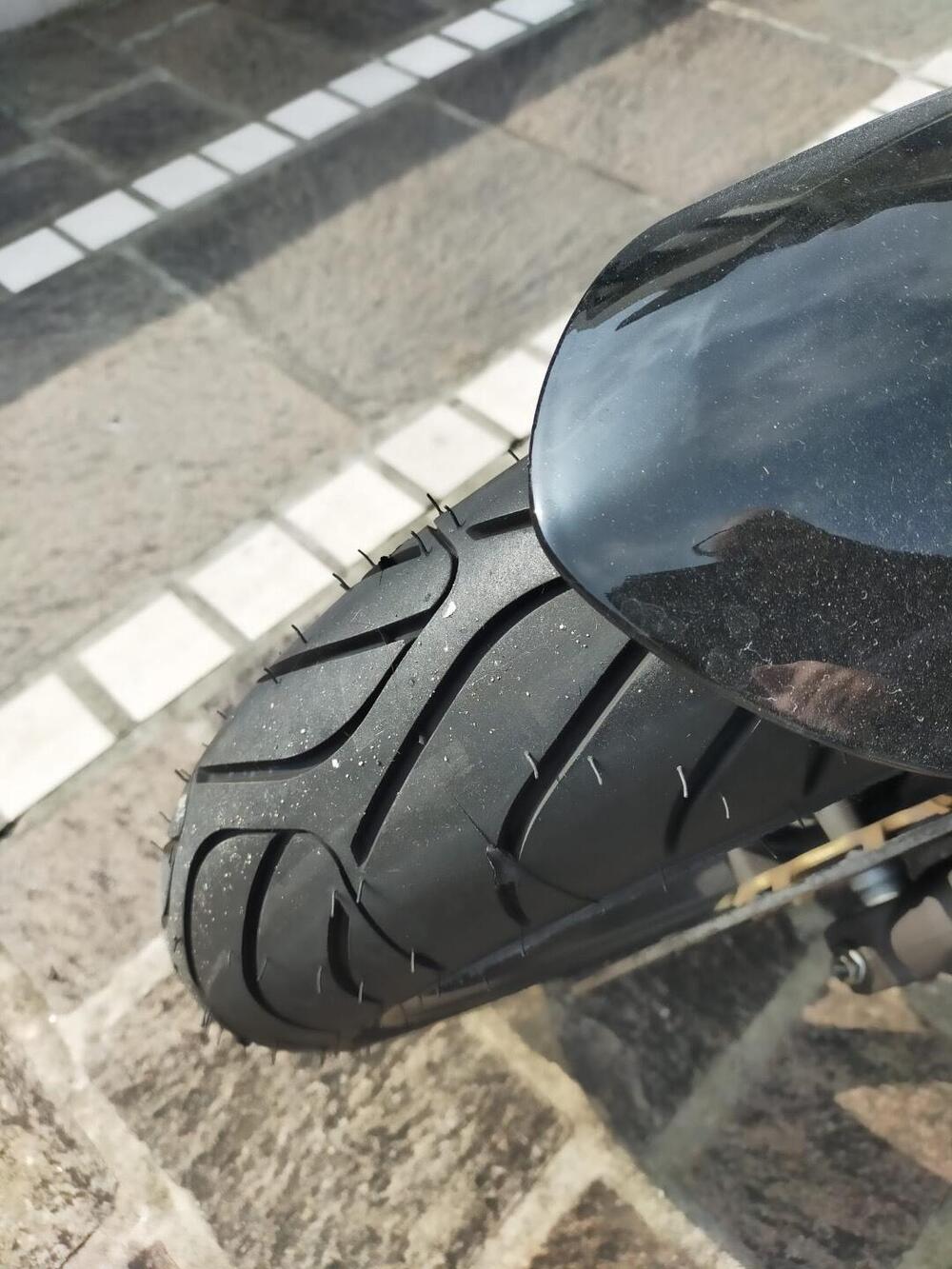 Honda Hornet 600 (2007 - 10) (5)