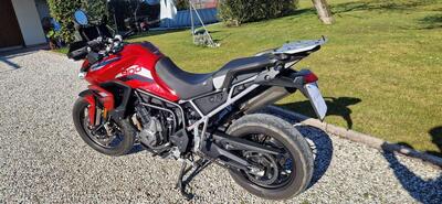 Triumph Tiger 900 GT Pro (2020 - 23) usata