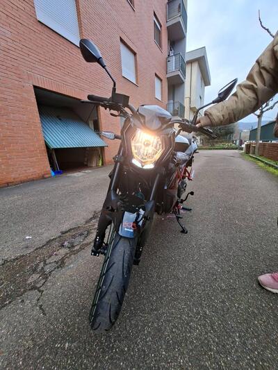 Benelli BN 125 (2021 - 25) usata