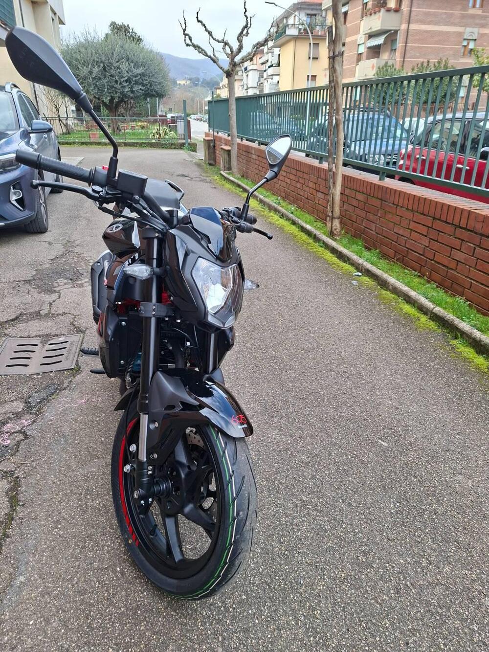 Benelli BN 125 (2021 - 25) (4)