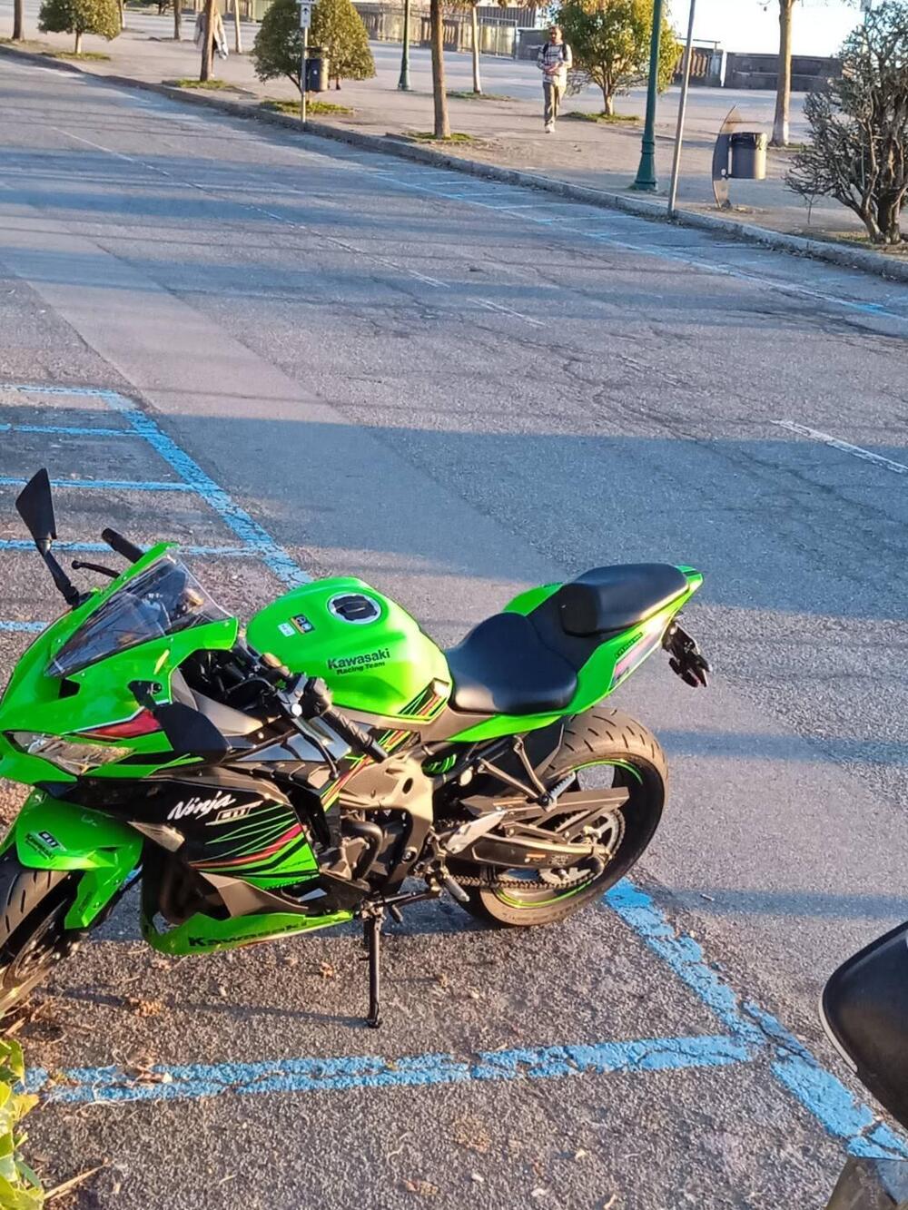 Kawasaki Ninja ZX-4RR (2024 - 26)