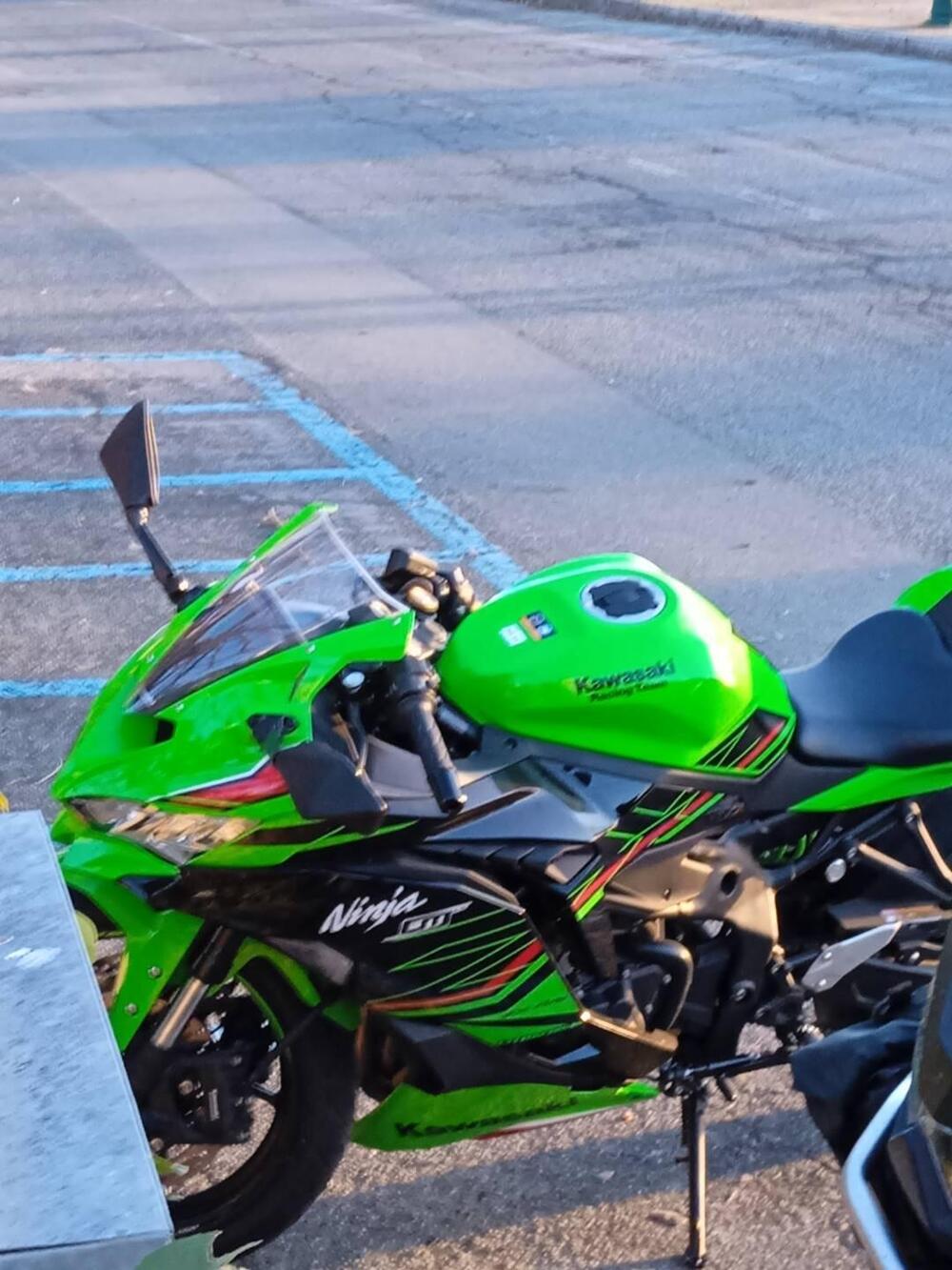 Kawasaki Ninja ZX-4RR (2024 - 26) (2)