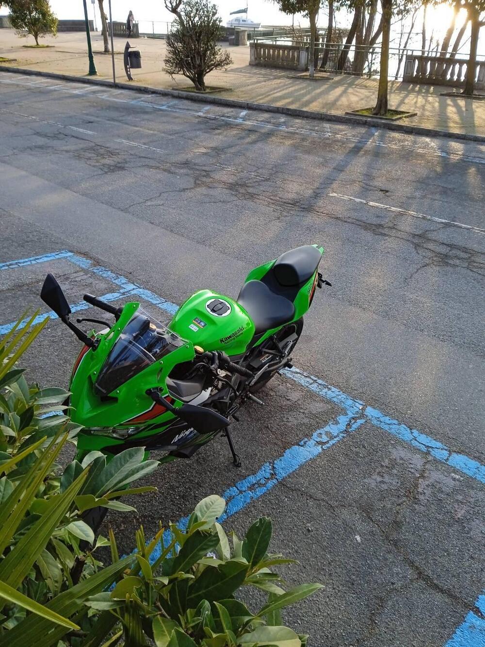 Kawasaki Ninja ZX-4RR (2024 - 26) (3)