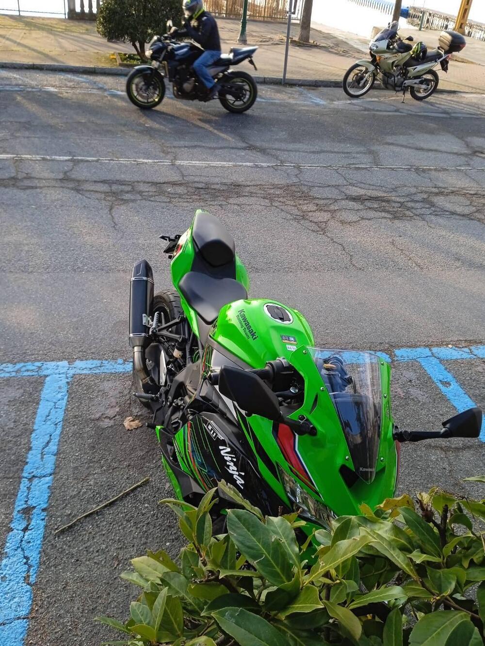 Kawasaki Ninja ZX-4RR (2024 - 26) (4)