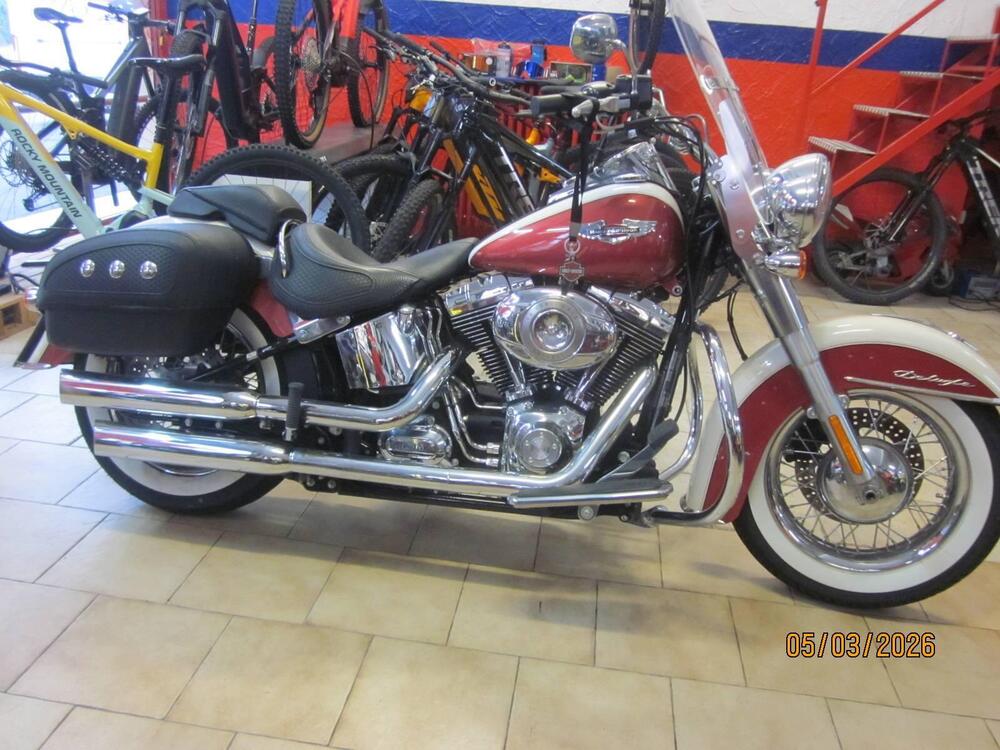 Harley-Davidson 1585 Softail Deluxe (2011) - FLSTN (2)