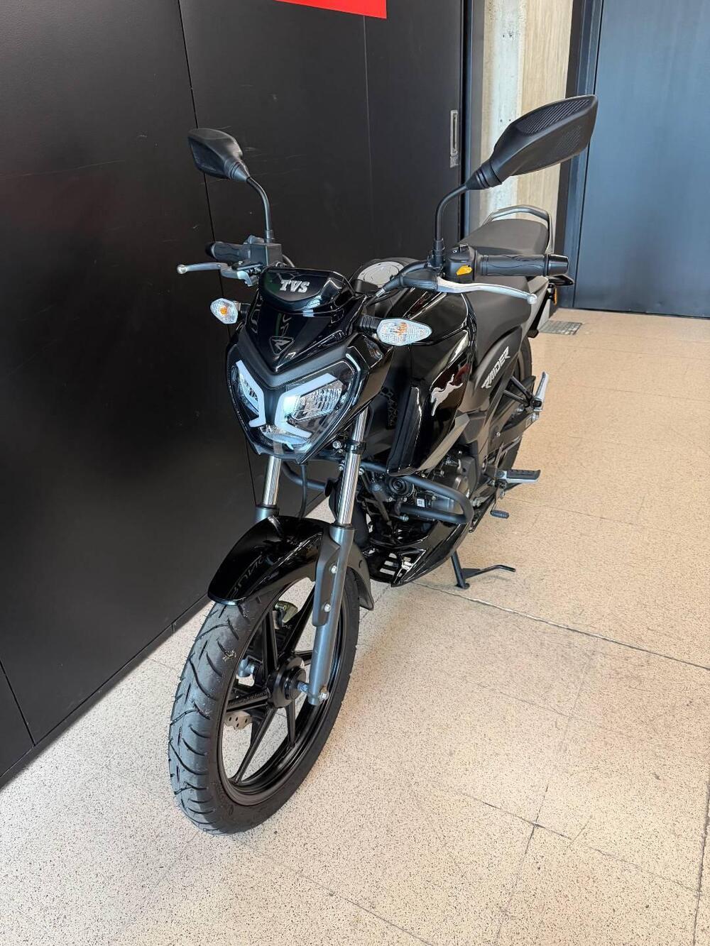 TVS Motor Raider 125 (2024 - 26) (4)